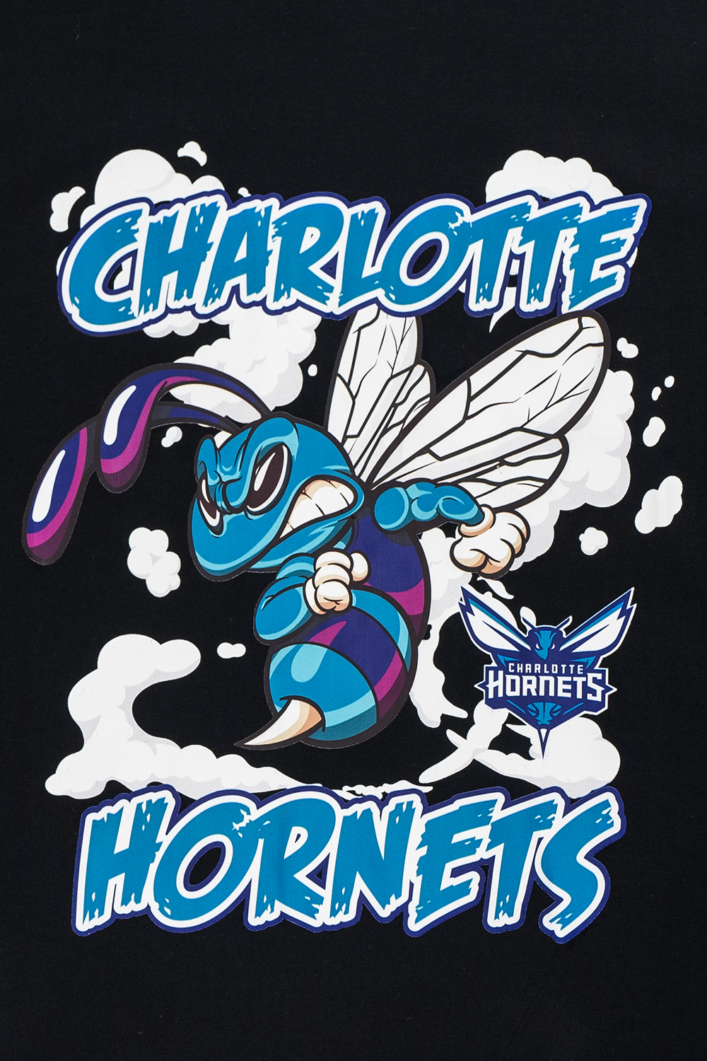 Charlotte Hornets NBA Gnarly Black Oversized Short Sleeve T-Shirt