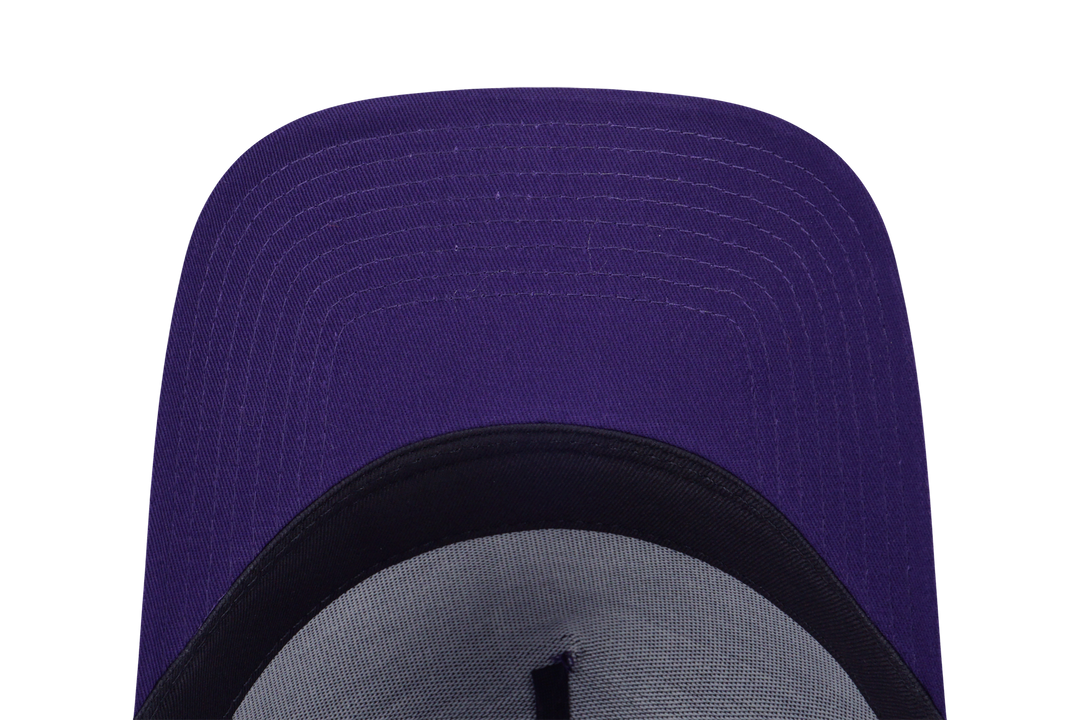 9FORTY A-Frame Los Angeles Dodgers Harris Tweed Purple Adjustable