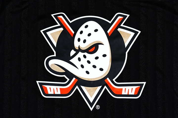 Anaheim Ducks NHL Fever Black Long Sleeve T-Shirt