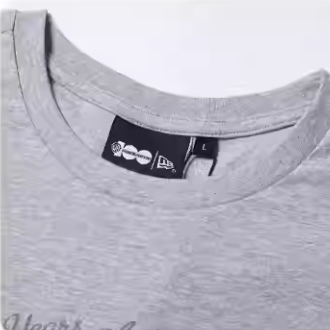 Warner Brother 100th Looney Tunes X Harry Potter Heather Gray Oversized Short Sleeve T-Shirt