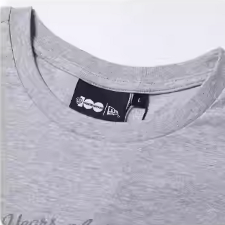 Warner Brother 100th Looney Tunes X Harry Potter Heather Gray Oversized Short Sleeve T-Shirt