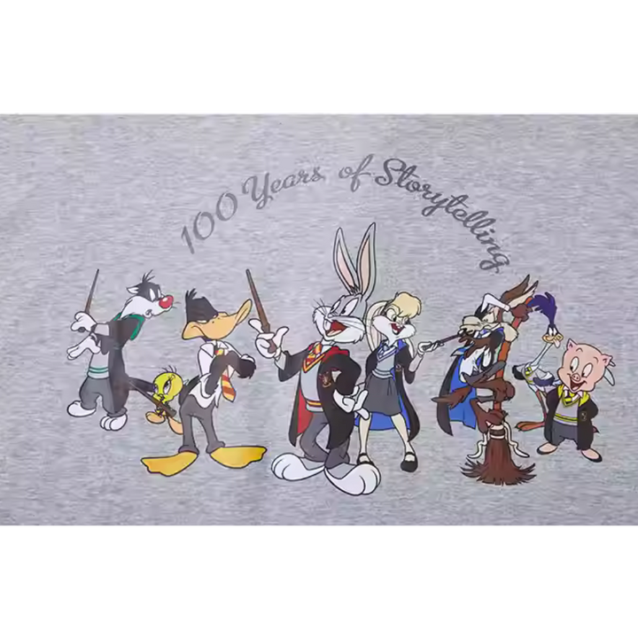 Warner Brother 100th Looney Tunes X Harry Potter Heather Gray Oversized Short Sleeve T-Shirt