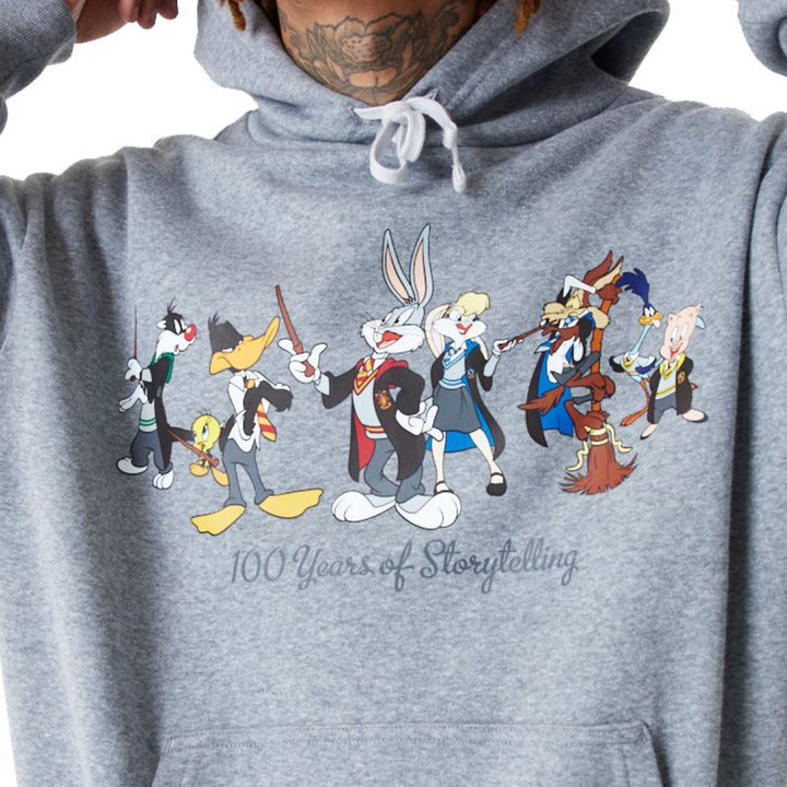 Warner Brother 100th Looney Tunes X Harry Potter Oversized Gray Pullover Hoodie