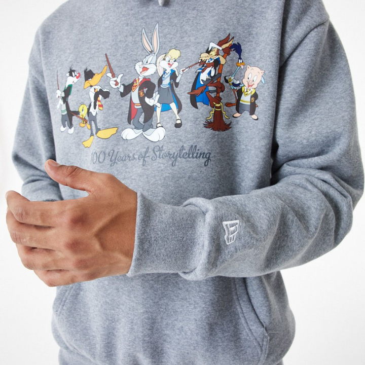 Warner Brother 100th Looney Tunes X Harry Potter Oversized Gray Pullover Hoodie