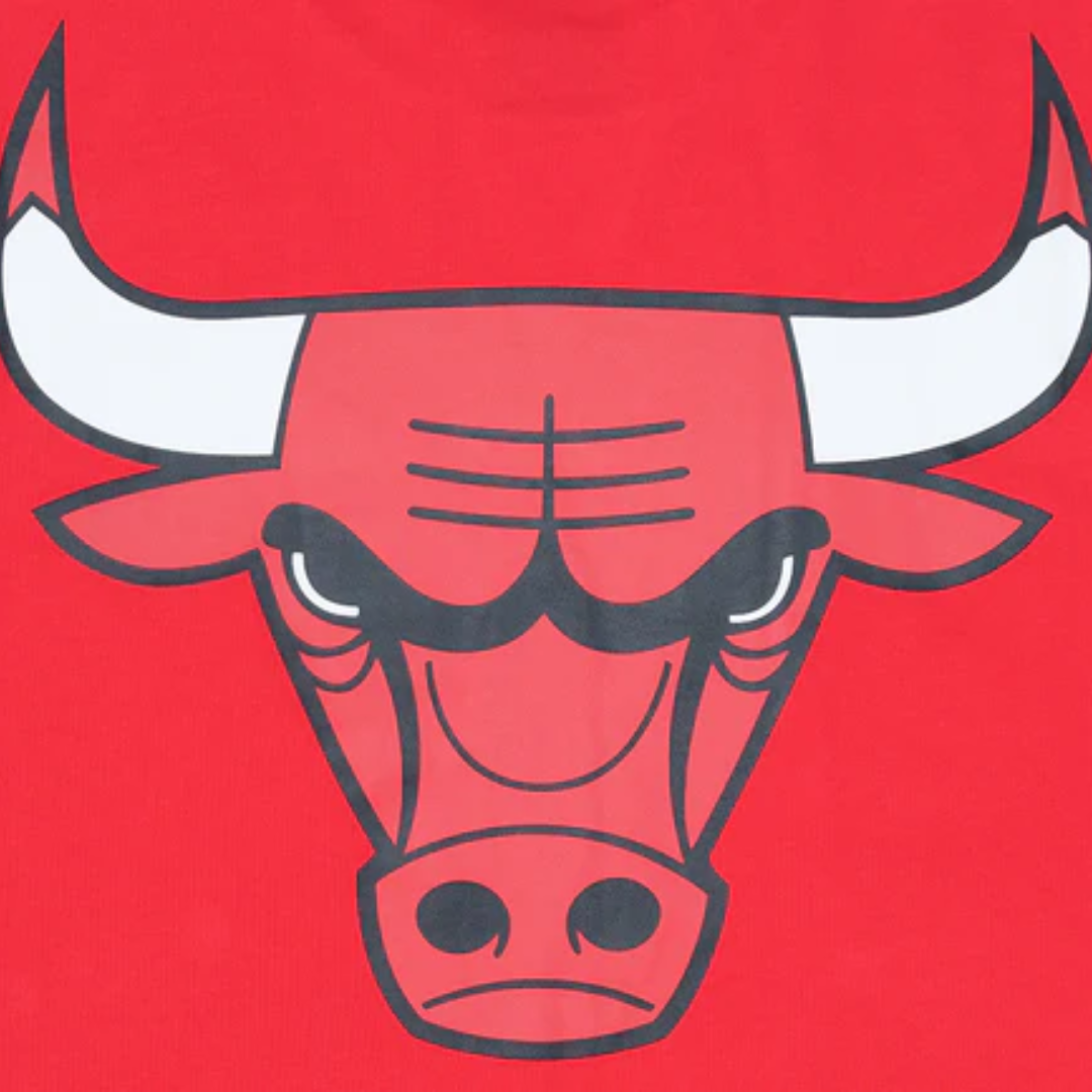 Chicago Bulls Scarlet Short Sleeve T-Shirt