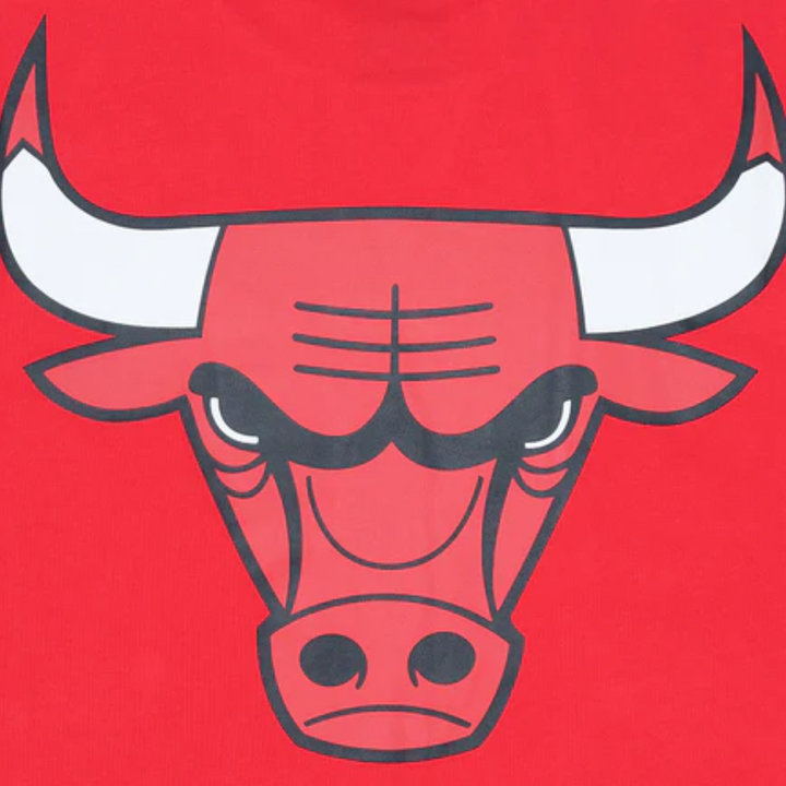 Chicago Bulls Scarlet Short Sleeve T-Shirt