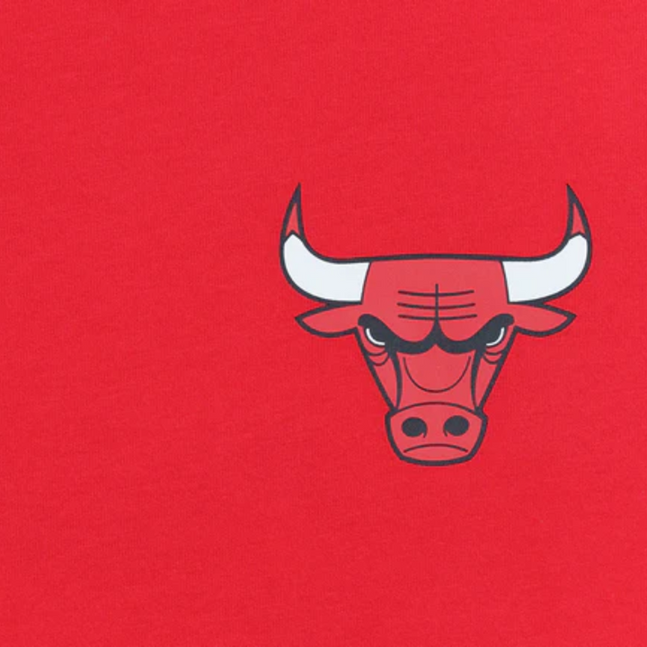 Chicago Bulls Scarlet Short Sleeve T-Shirt