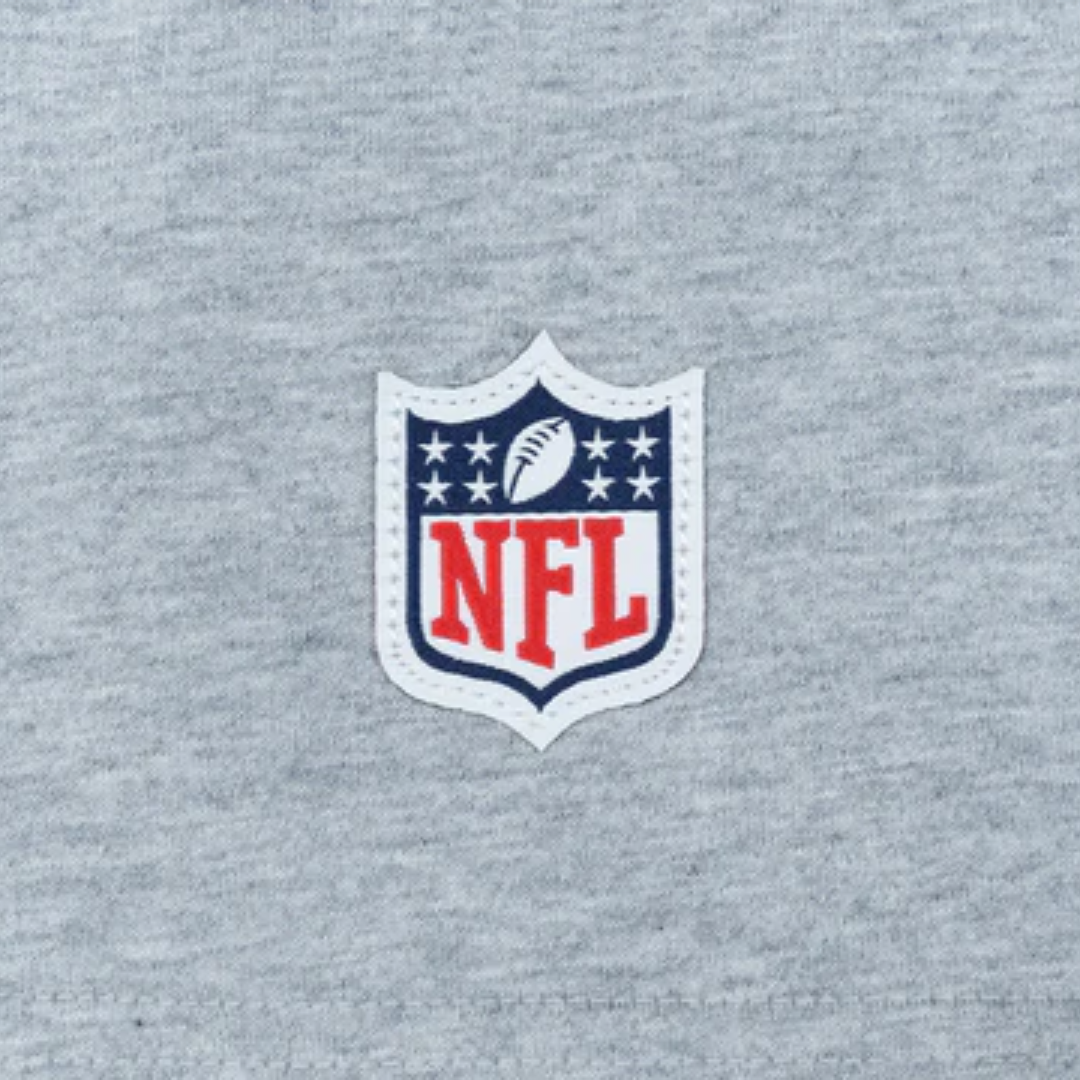 Las Vegas Raiders Gray Short Sleeve T-Shirt